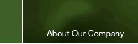 About Our Company